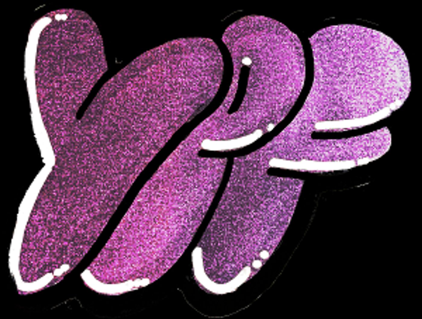 Town Hall Theatre Announces Young Playwrights Festival  Image