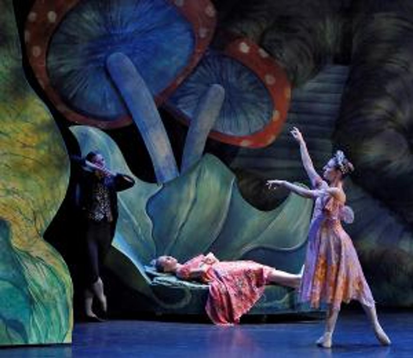 New York Theatre Ballet's SLEEPING BEAUTY To Take the Stage, March 11 And 12  Image