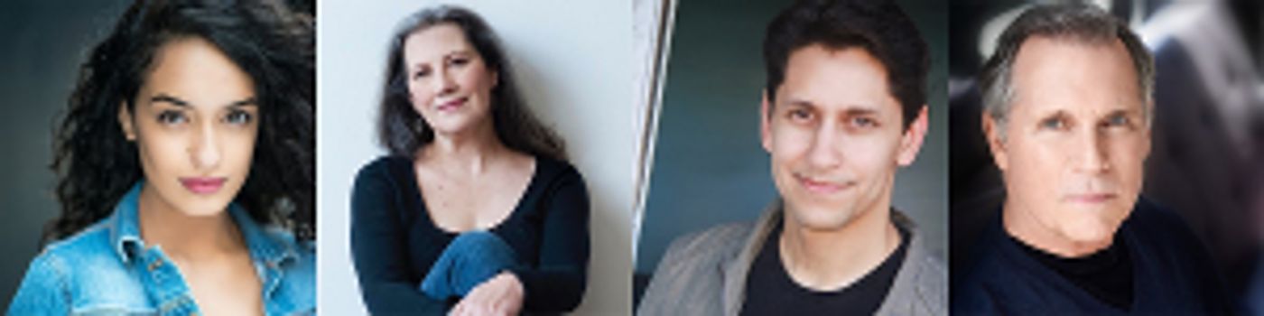 City Theatre Presents NATIVE GARDENS By Karen Zacarias  Image