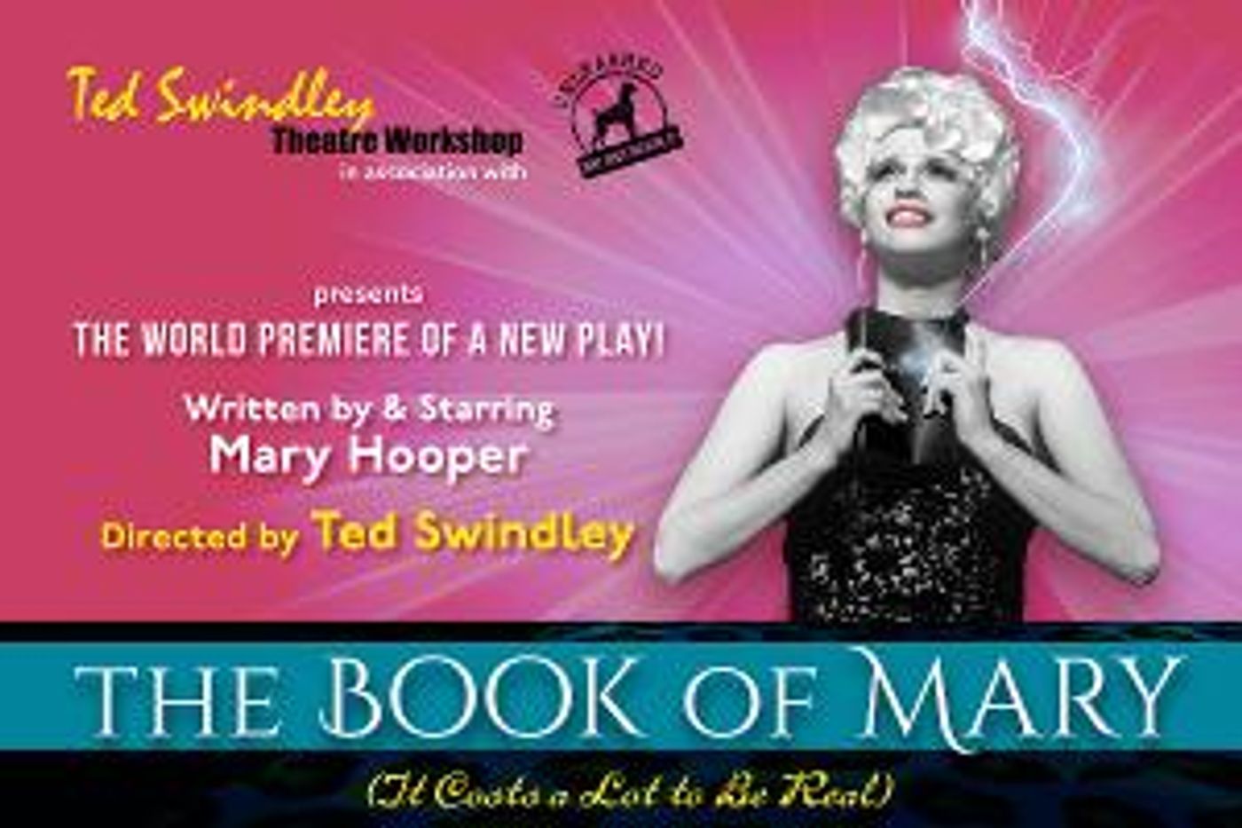 Ted Swindley Theatre Workshop In Association With Dirt Dogs Unleashed Presents THE BOOK OF MARY  Image