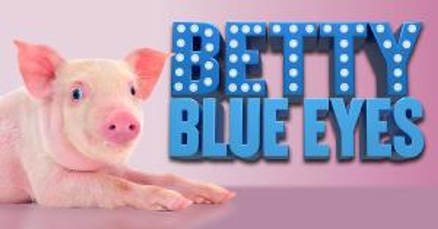 BETTY BLUE EYES Will Get First London Revival at the Union Theatre This Month  Image