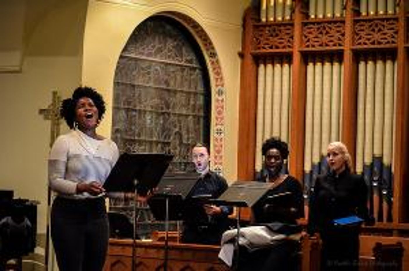 New Five-Borough Opera Series Kick-Starts in The Bronx in April  Image