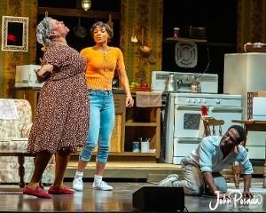 Choose-What-U-Pay to See RAISIN at Axelrod PAC  Image