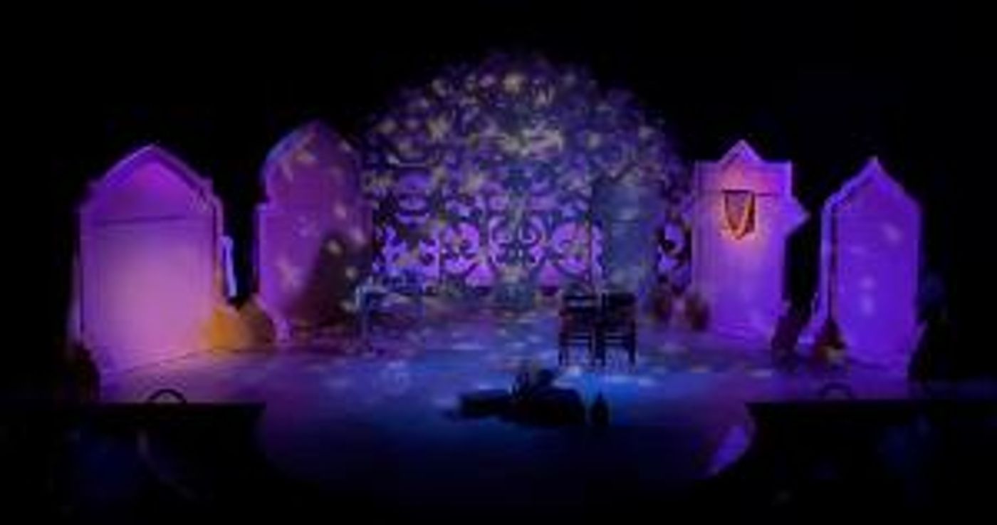 Children's Theatre of Charlotte Presents THE NIGHT DIARY  Image