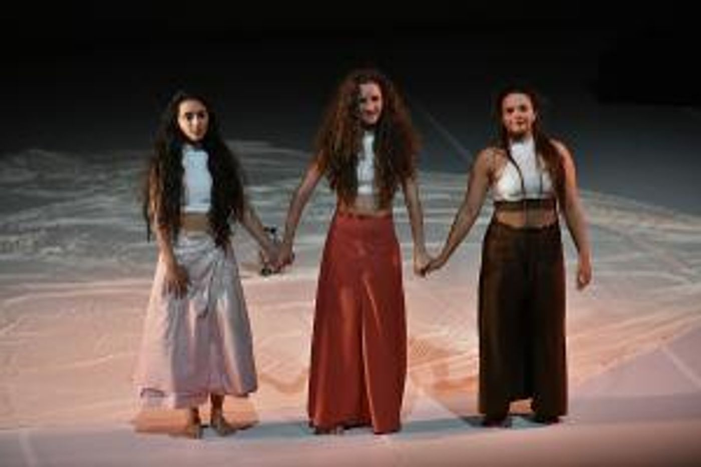 La Compañía Pájaro Mosca Presentará Dos Funciones Más De ECO En El Teatro De La Danza Guillermina Bravo  Image