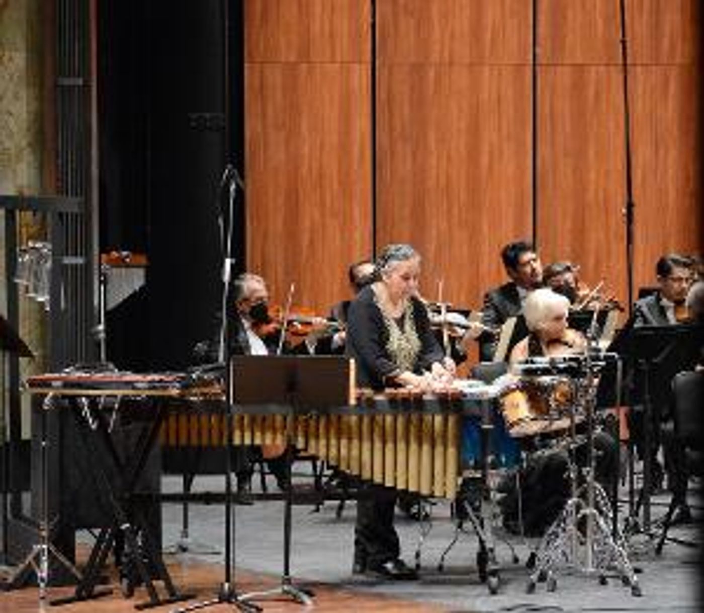 La OSN Interpretó A Brahms, Noon Y A Beach, Bajo La Batuta De Virginia Martínez Y La Participación De Gabriela Jiménez  Image