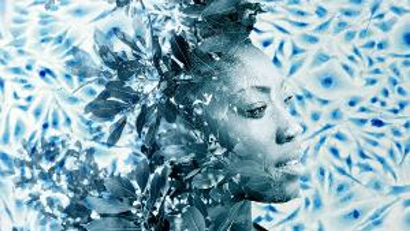 Tron Theatre Tron Theatre Welcomes Award Winning New Play Telling The Hidden Story Of Henrietta Lacks  Image