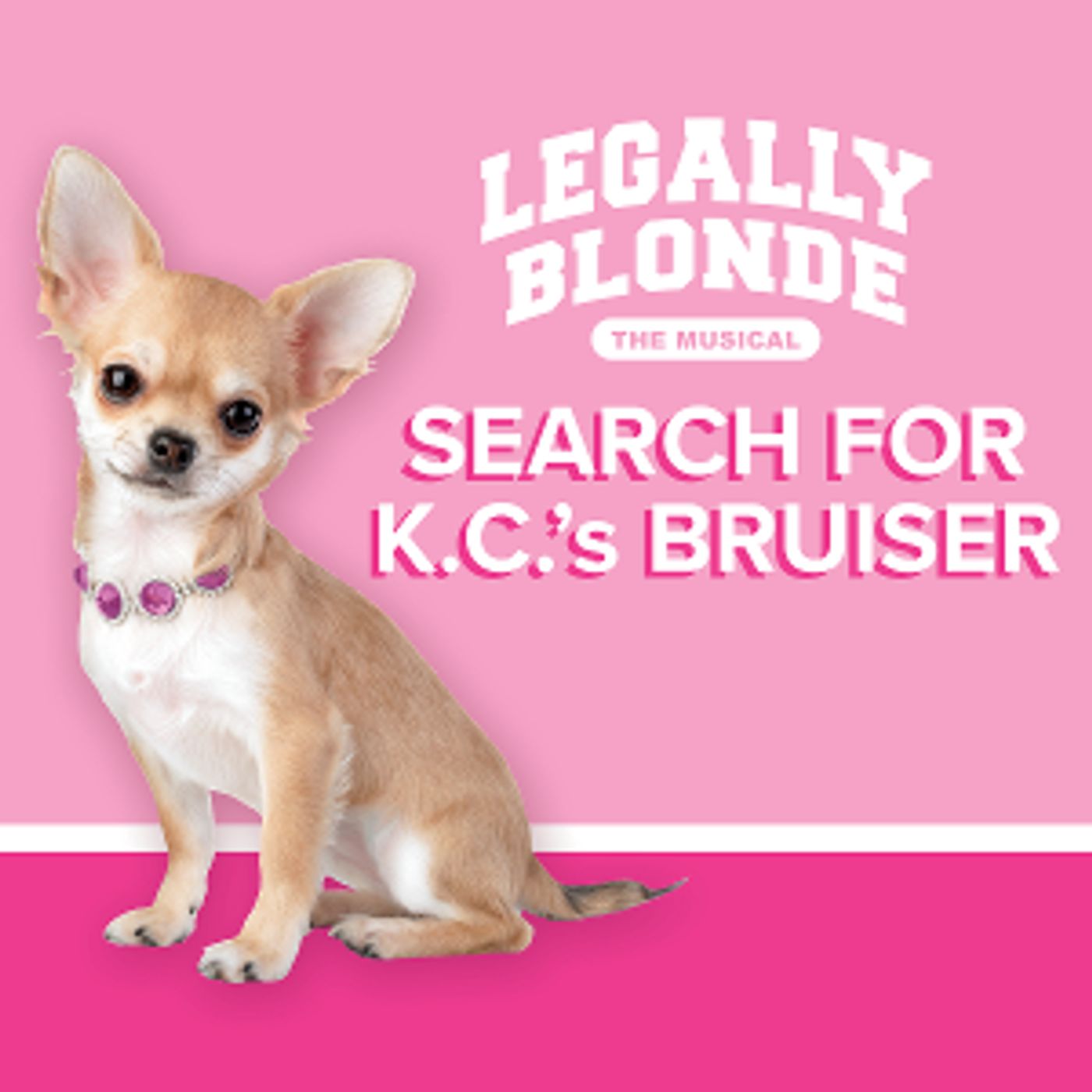 Starlight Searches For Kansas City's Bruiser Woods To Star In LEGALLY BLONDE The Musical  Image