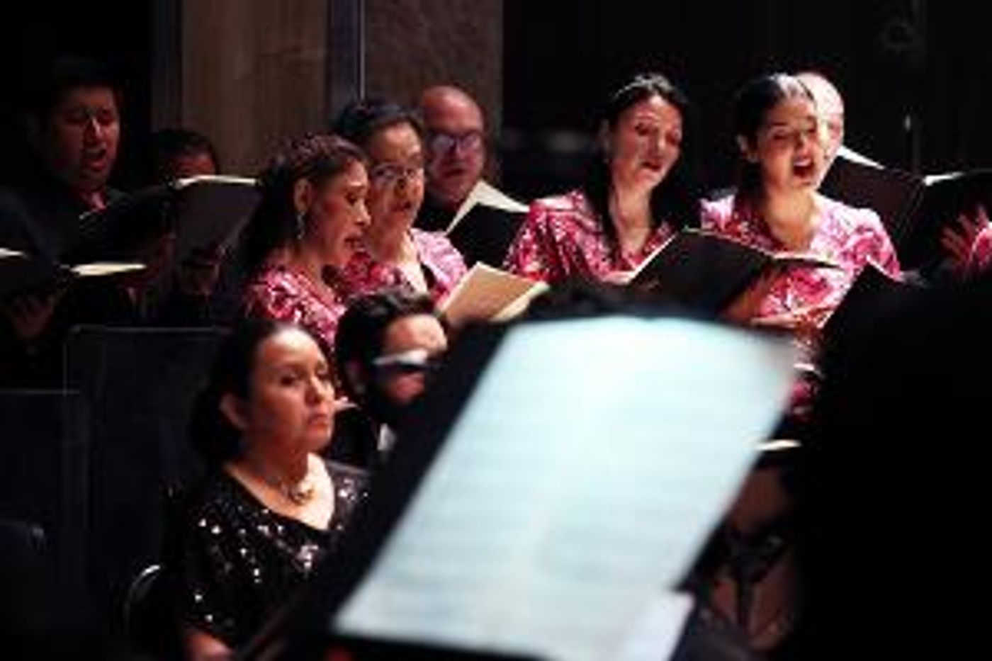 La Orquesta Sinfónica Nacional Rememora A La Violinista Erika Dobosiewicz  Image