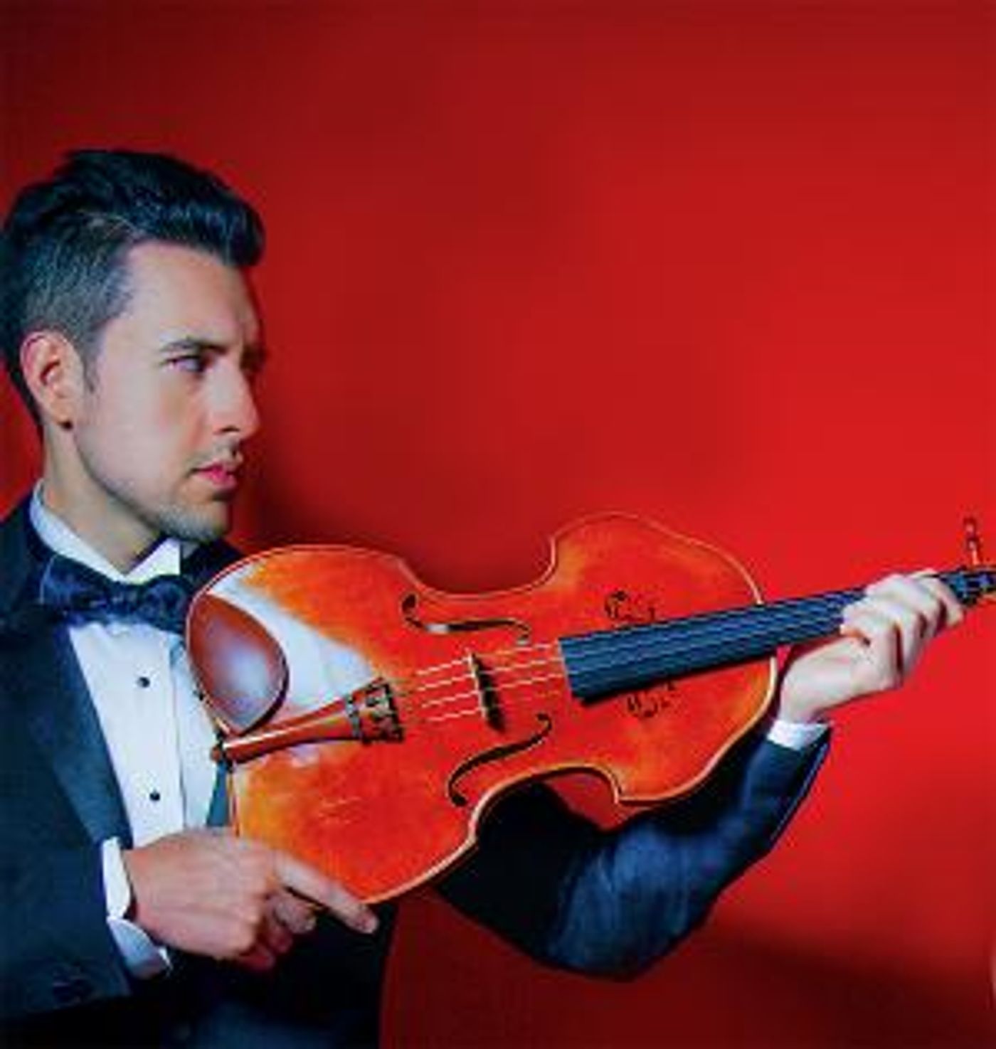 Artist Series Concerts of Sarasota Closes its 27th Season With Violins and Violas  Image