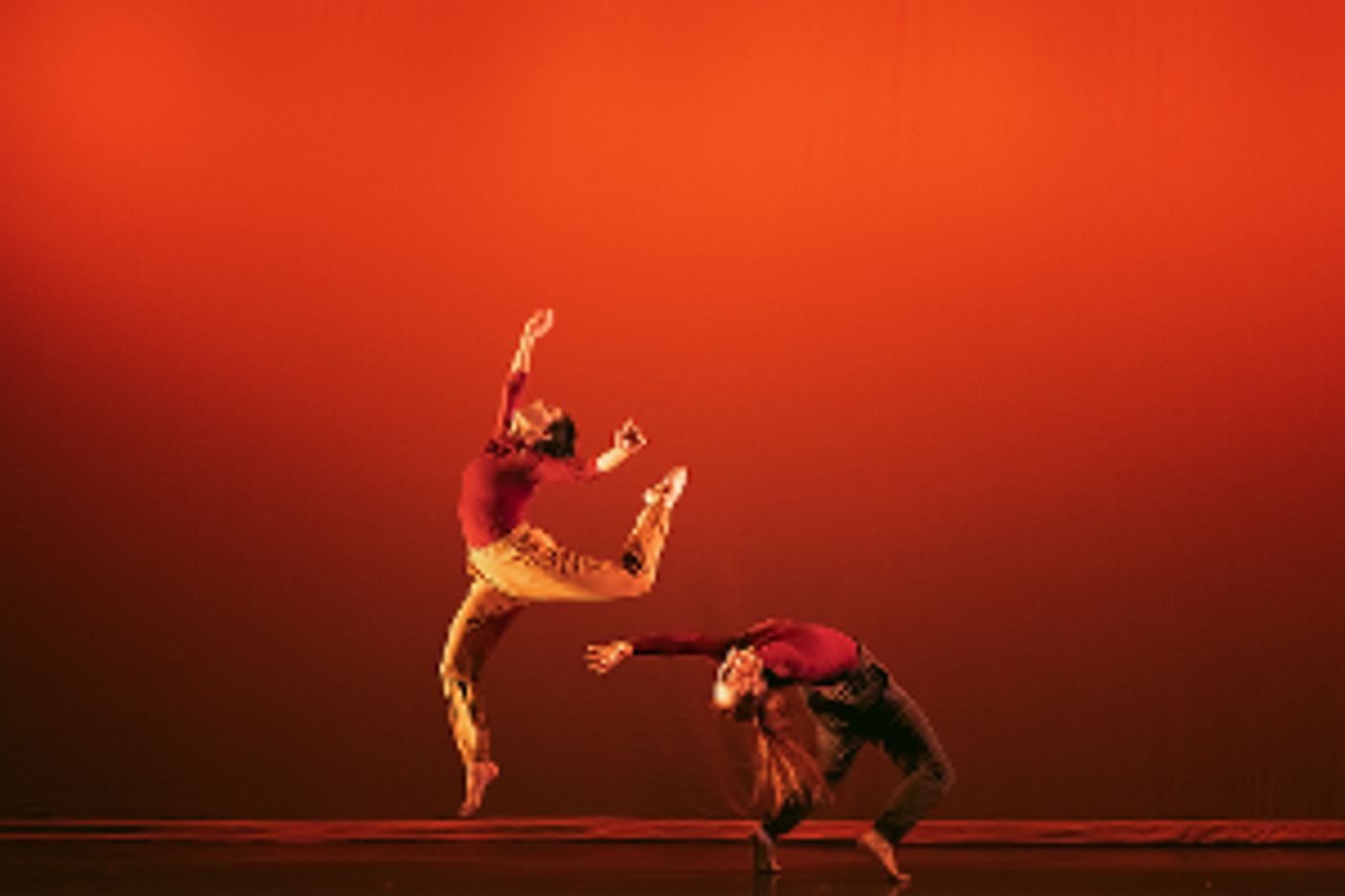 Ariel Rivka Dance Celebrates 15th Anniversary Season With Movement, Film, Text, and Live Music  Image
