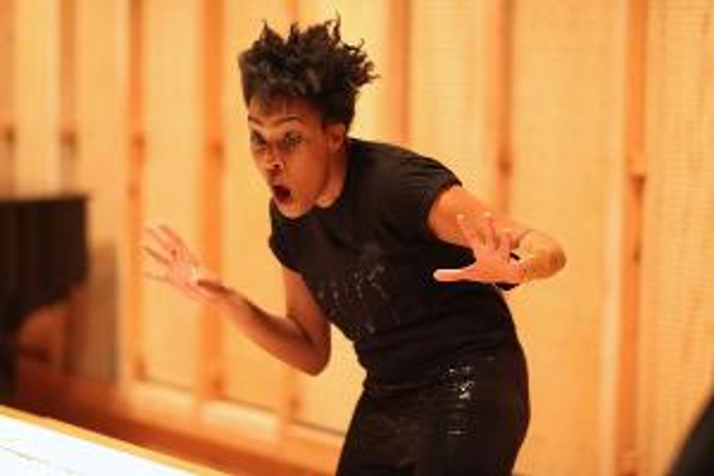 EIGHT SONGS FOR A MAD KING Will Be Performed by Elaine Mitchener at Wigmore Hall  Image