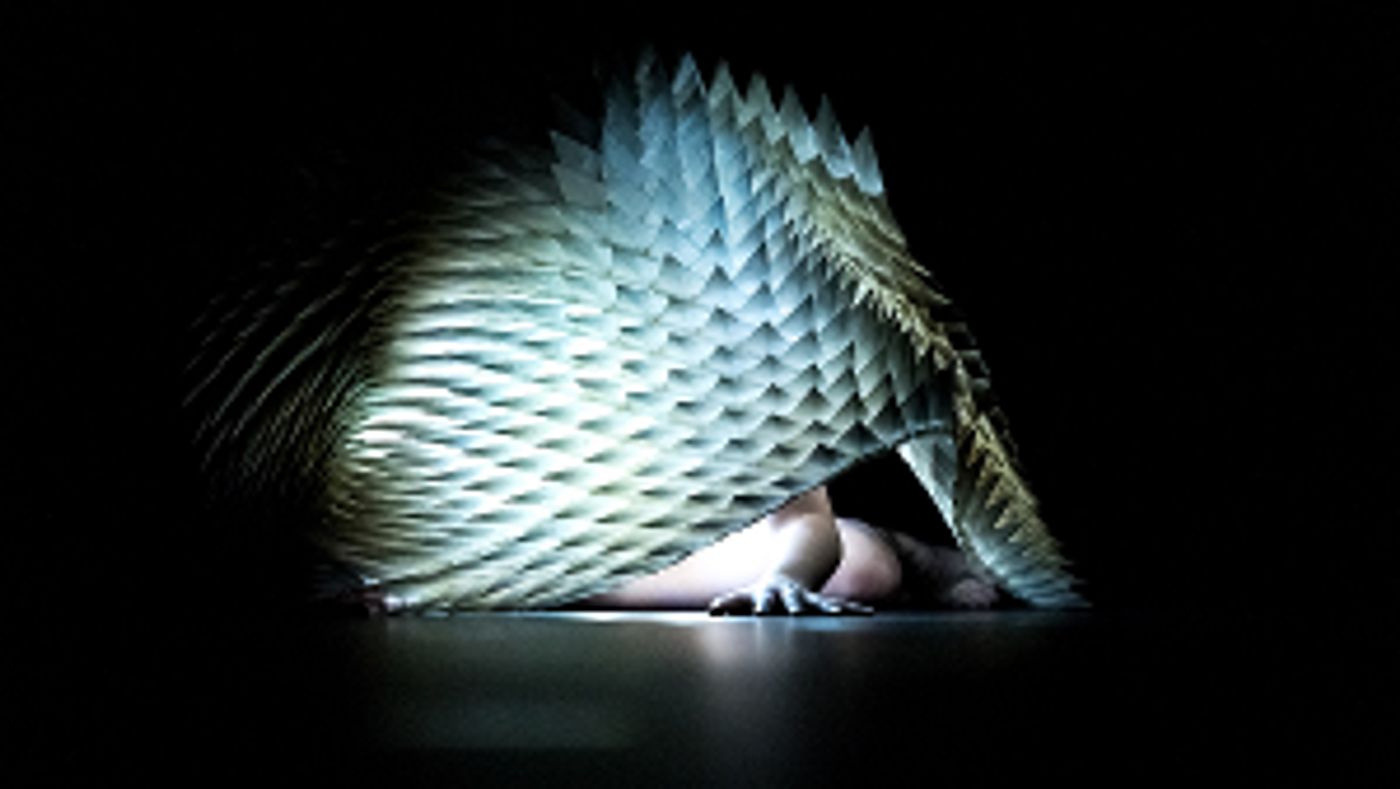 Assembly Festival and Dance Base Reveal Programme For This Year's Fringe  Image