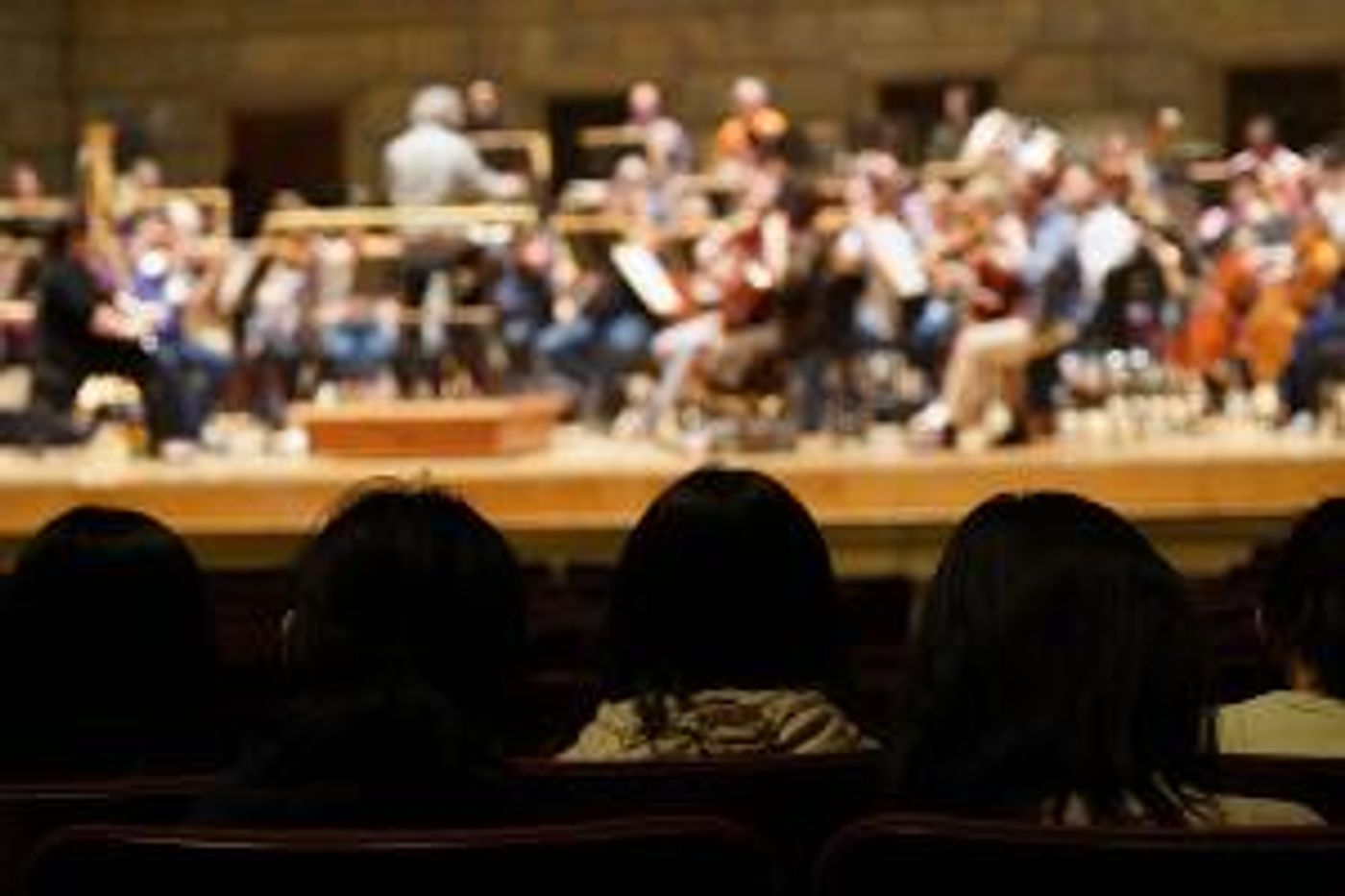 Rochester Philharmonic Orchestra Reveals More 100 Acts Of Giving Back Events  Image