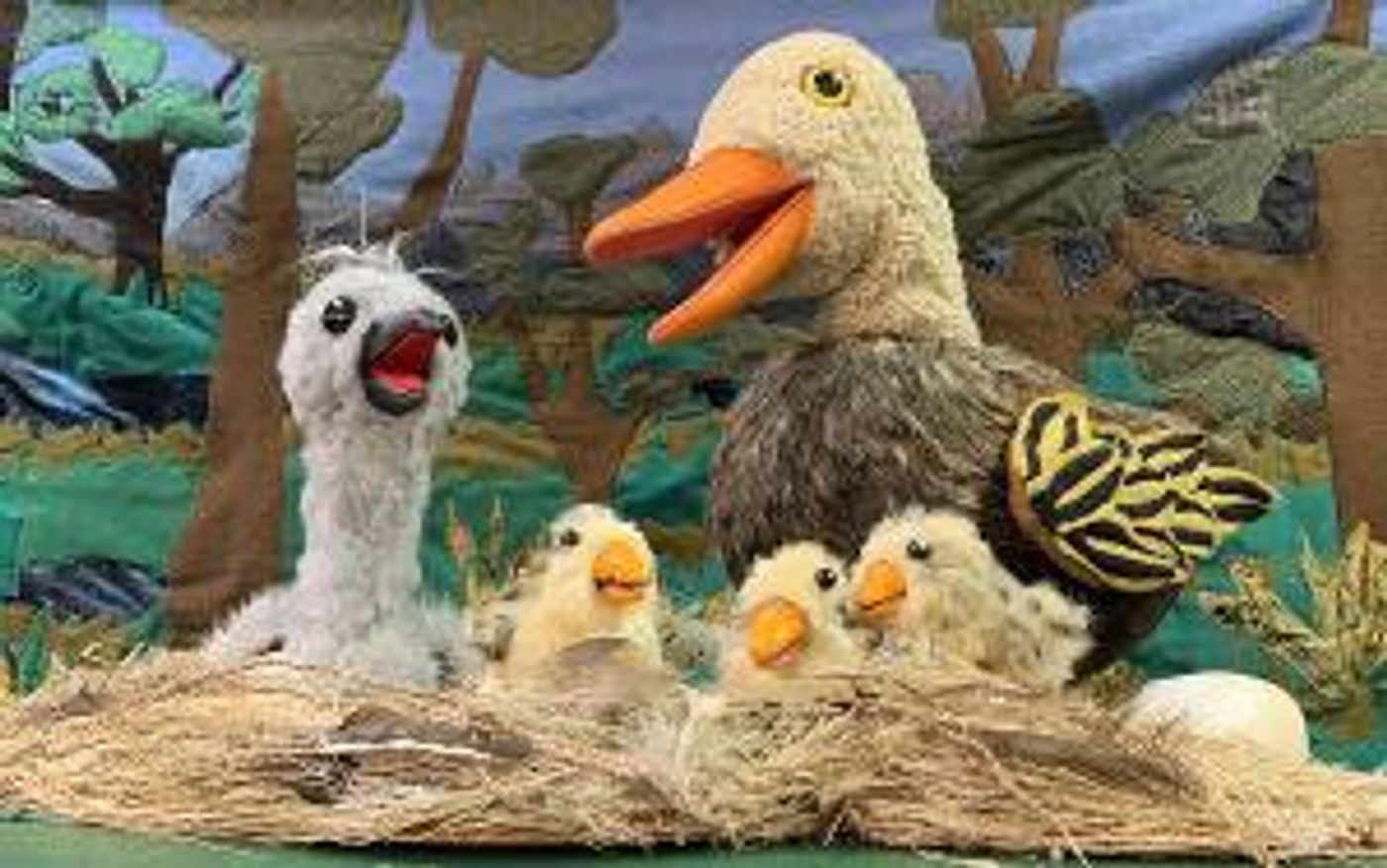 Great AZ Puppet Theater to Present Red Herring Puppets' THE UGLY DUCKLING and More in May  Image