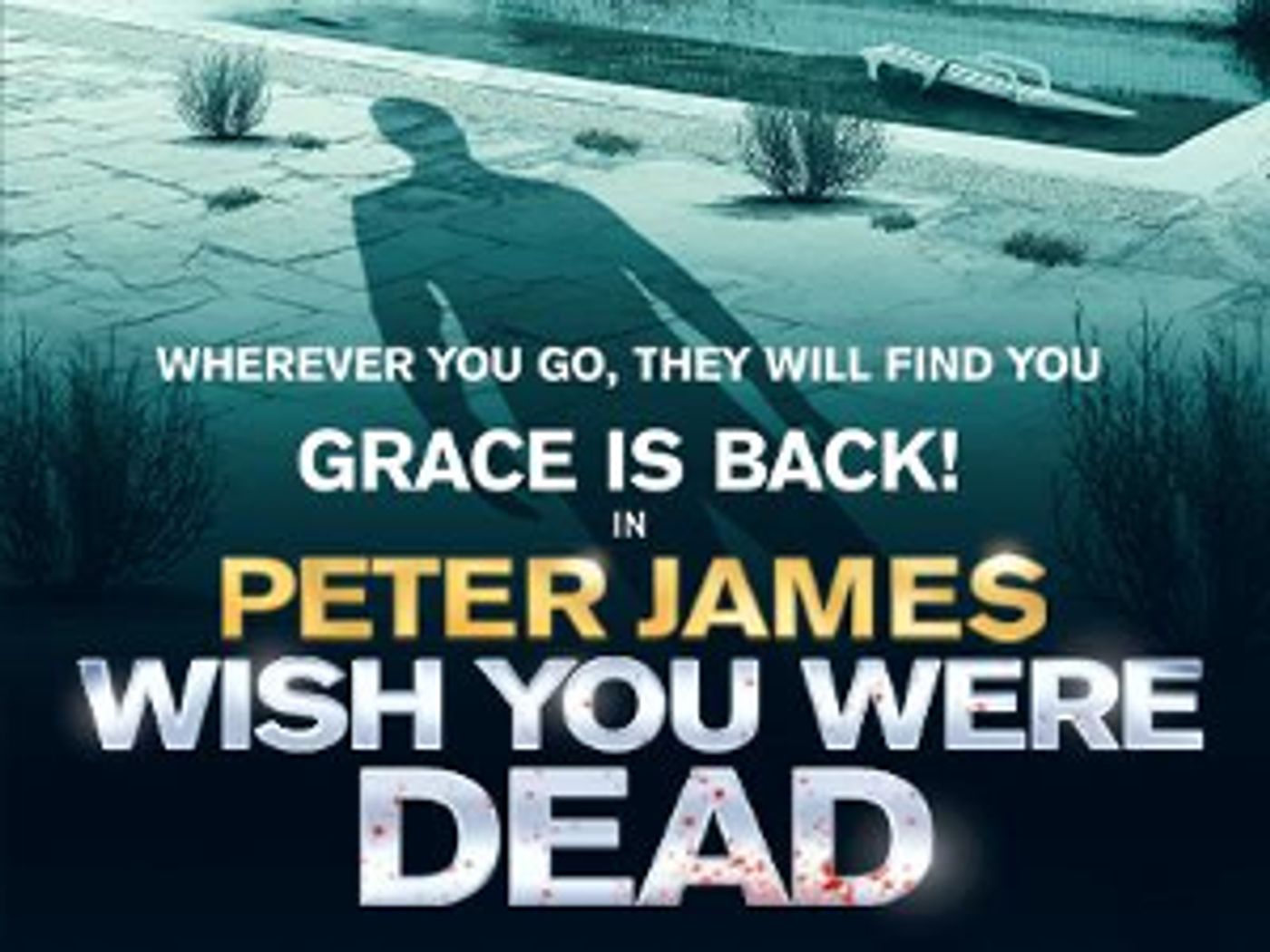 UK Tour of Peter James' WISH YOU WERE DEAD Will Visit Milton Keynes Theatre  Image
