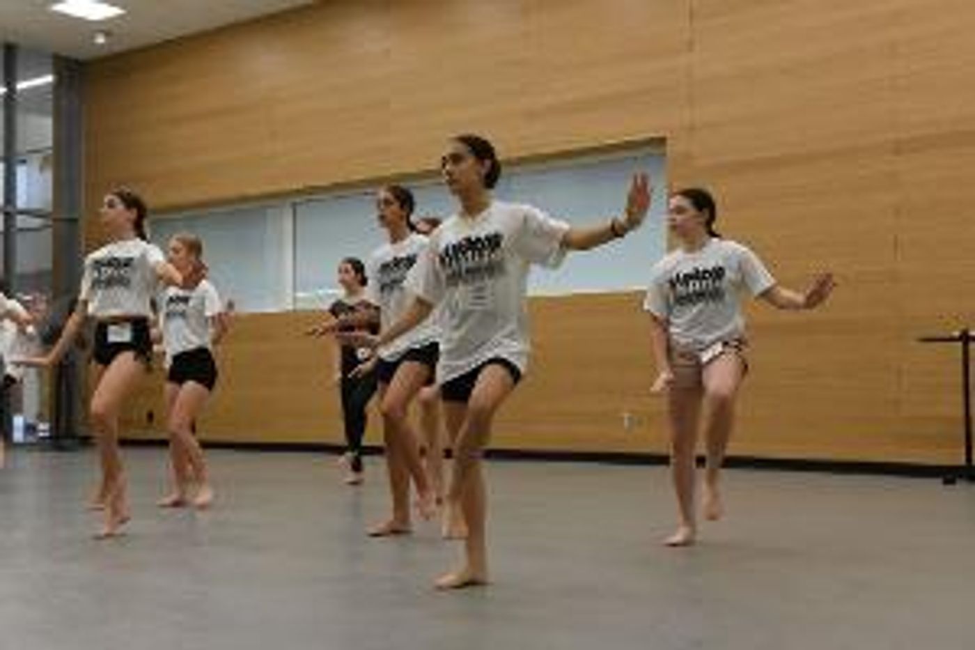 NKU SOTA Offers Summer Dance Institute For Young Artists  Image