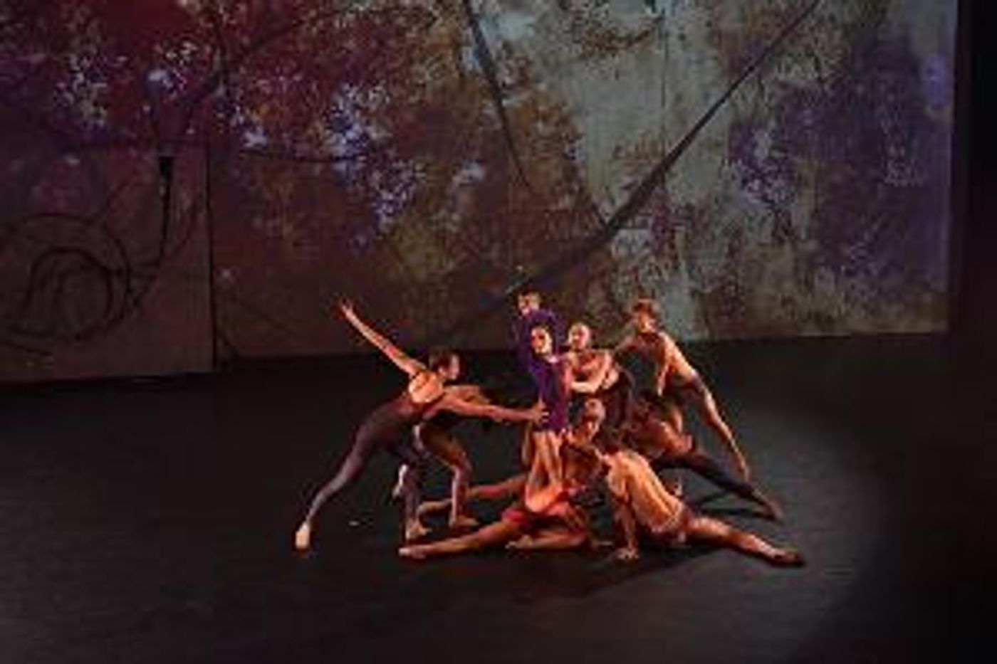 FJK DANCE Returns To New York Live Artsfor Ninth Season, May 23-25  Image