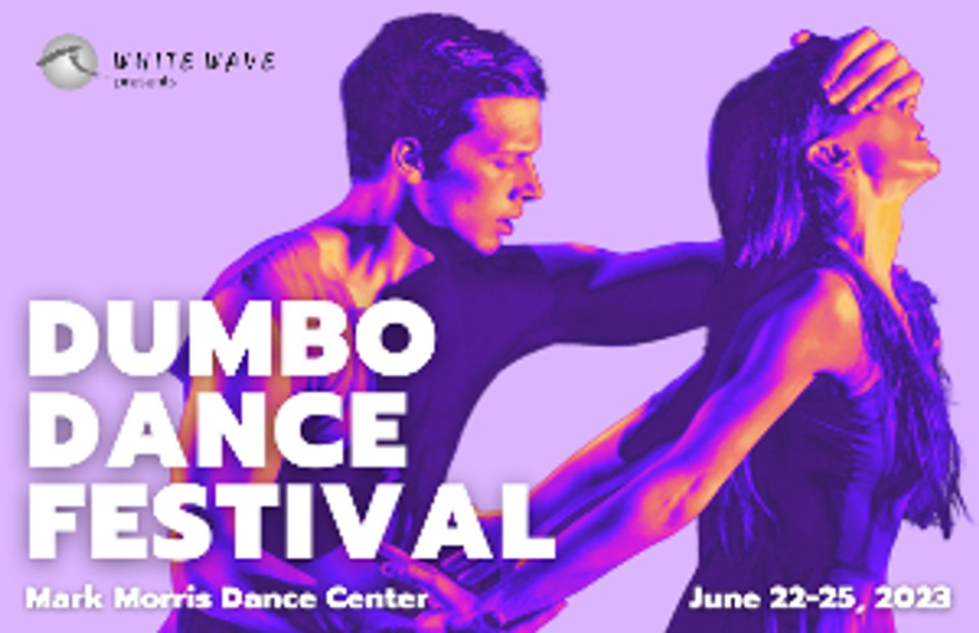 WHITE WAVE DANCE to Present THE 2023 DUMBO DANCE FESTIVAL at Mark Morris Dance Center Next Month  Image
