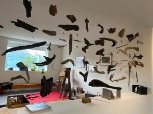 Celebra El Museo De Arte Carrillo Gil El Día Internacional De Los Museos Con Dos Nuevos Proyectos  Image