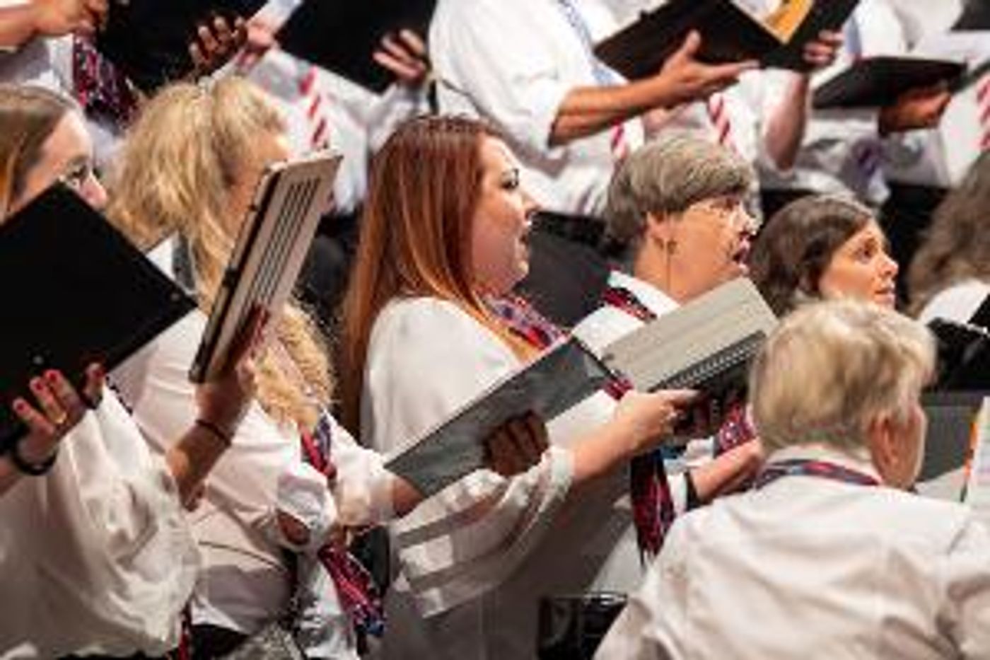 Choral Artists' AMERICSAN FANFARE Is July 4 At Sarasota Opera House  Image