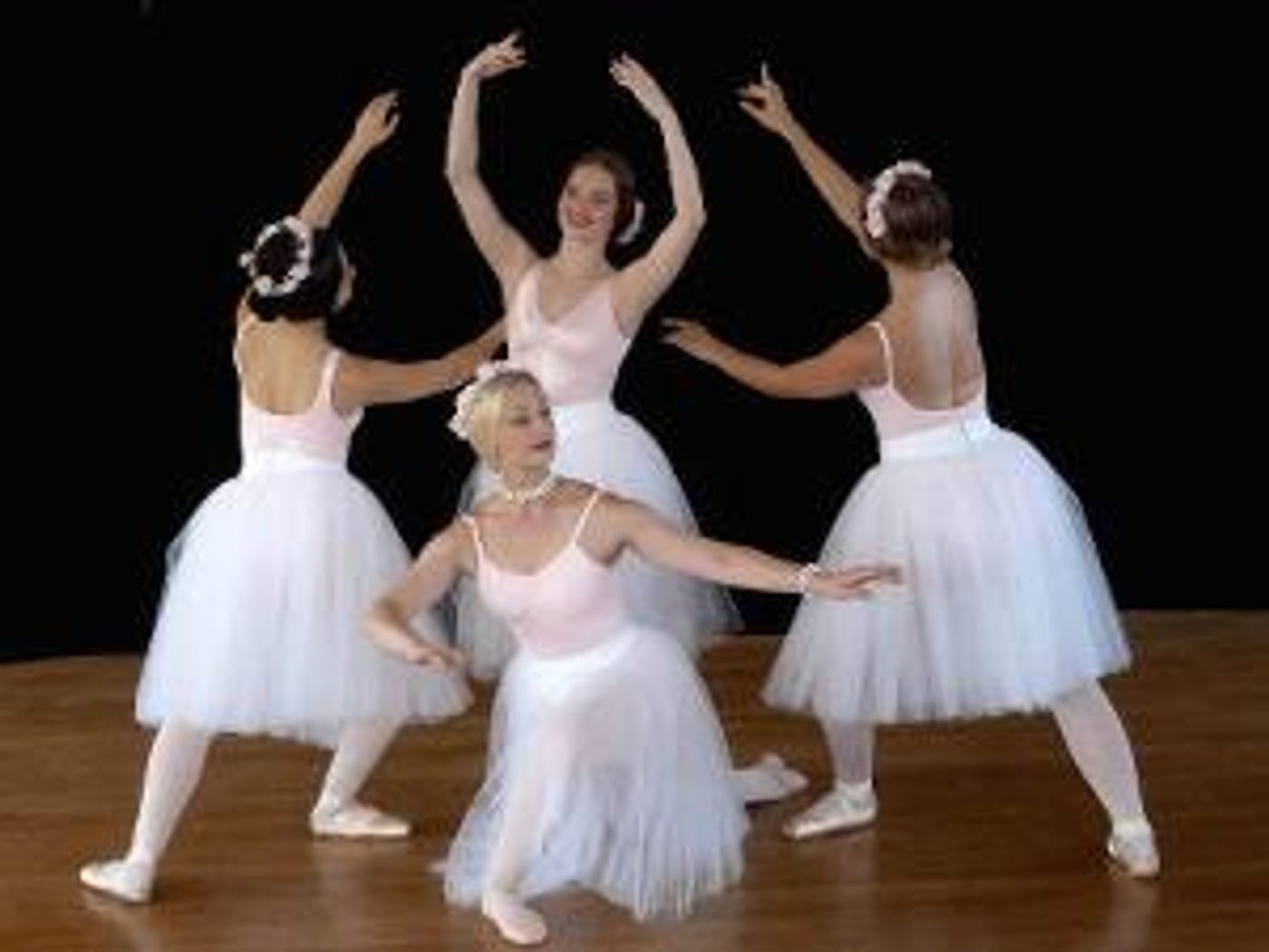 North Shore Civic Ballet Opens Spring Auction On May 26  Image
