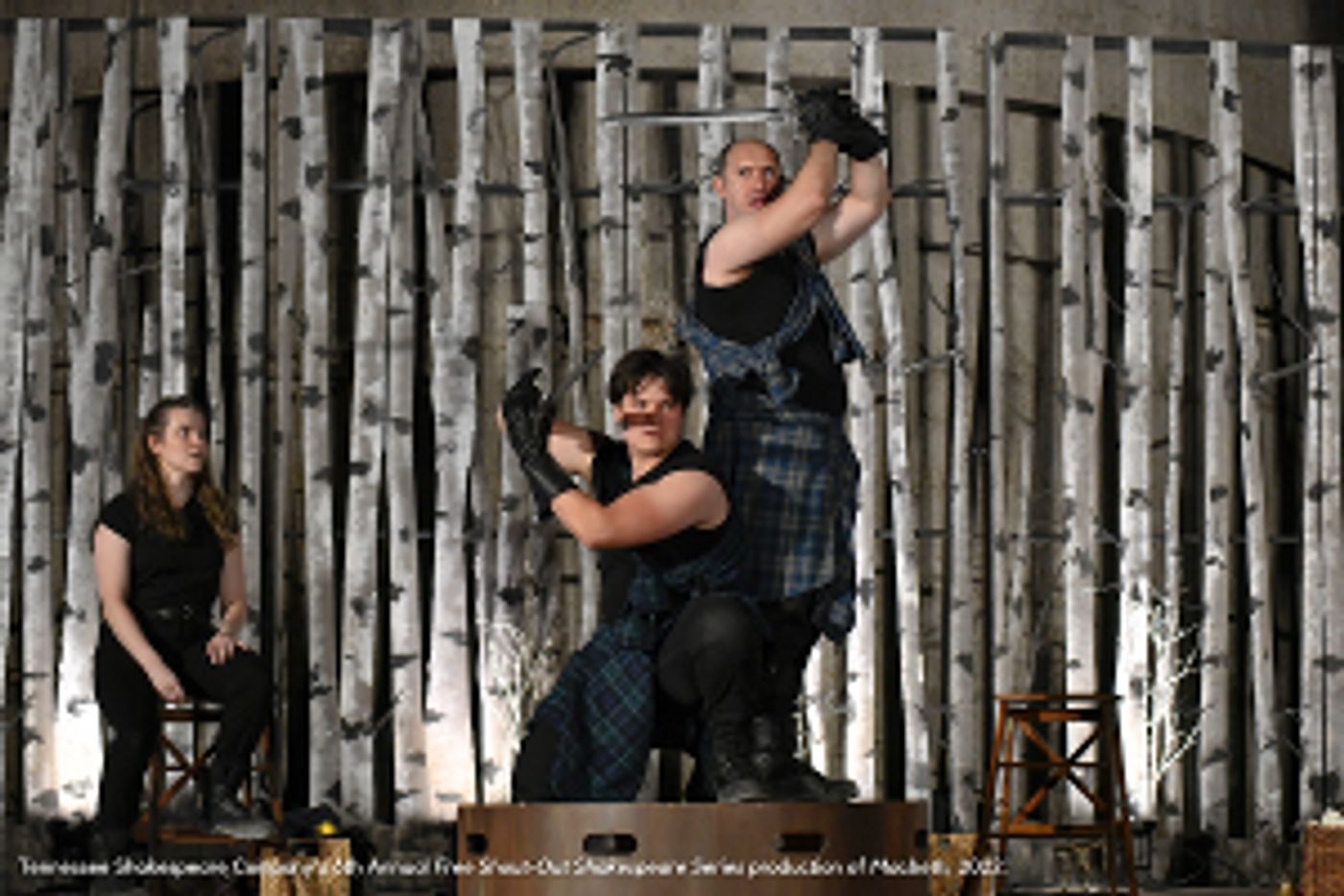 TN Shakespeare Co. Approved For Grant Award From The National Endowment For The Arts To Support 7th Annual Free Shout-Out Shakespeare Series  Image