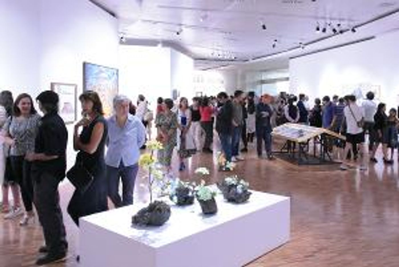 El Museo De Arte Moderno Presenta Eje Neovolcánico. Aproximaciones Artísticas Al Paisaje ígneo  Image