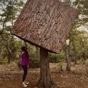 Bernheim Arboretum And Research Forest Announces L+A+N+D  Image