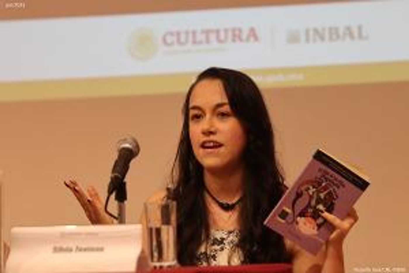 Presentaron Tres Obras De La Narrativa Contemporánea En La Sala Adamo Boari  Image