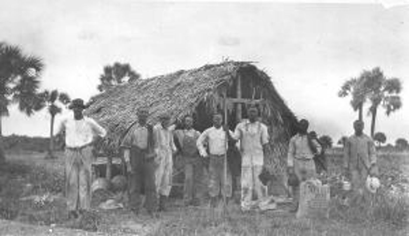 The Schmidt Boca Raton History Museum Announces BLACK PEARLS: The Story Of Pearl City  Image