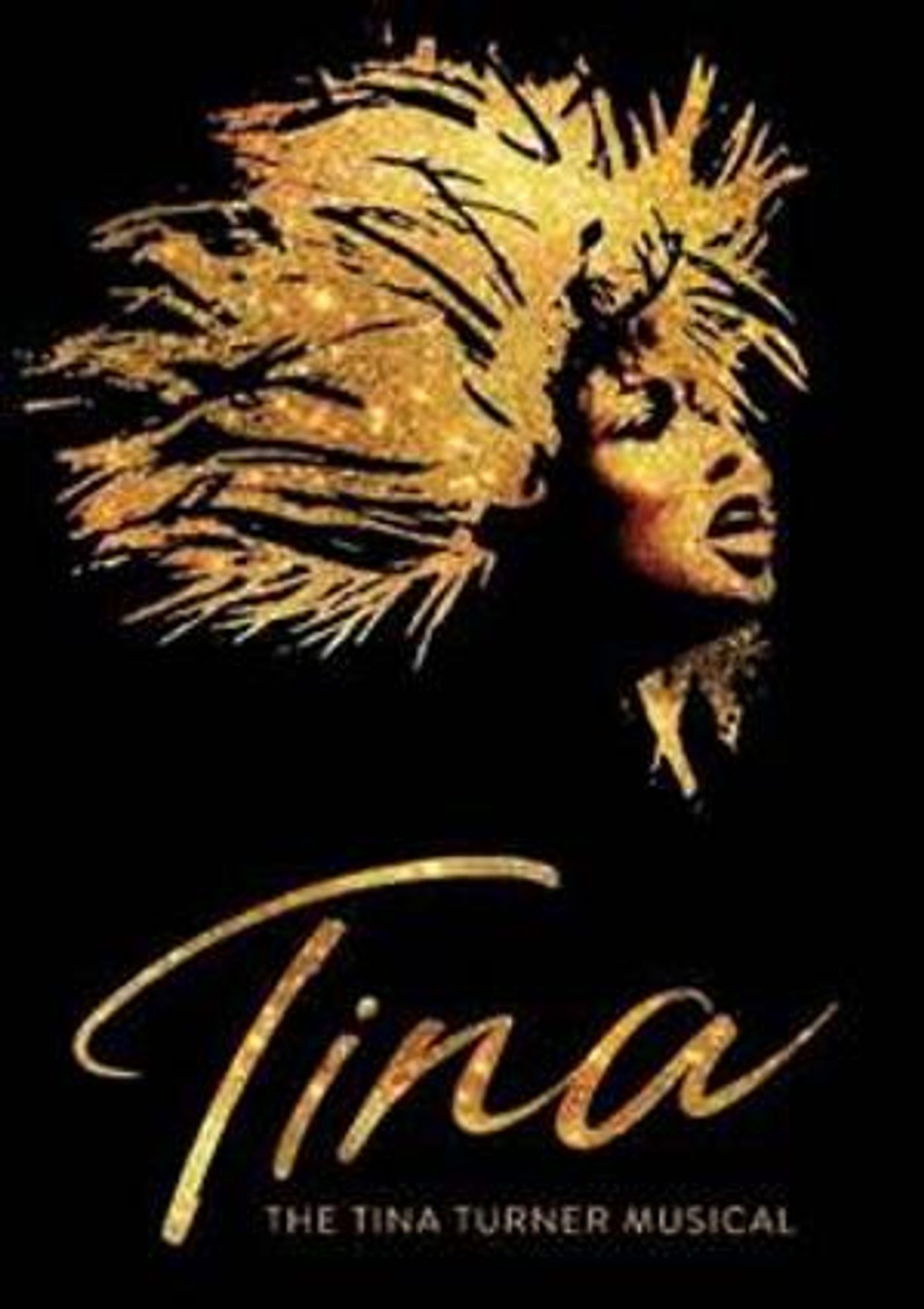 TINA - THE TINA TURNER MUSICAL Comes To Keller Next Month  Image