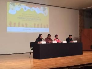 Con El Ciclo Las Diversas Raíces. Voces De Nube Y Montaña, Poetas Comparten Sus Obras En Diidxazá, Tu'un Savi Y Ayuujk  Image