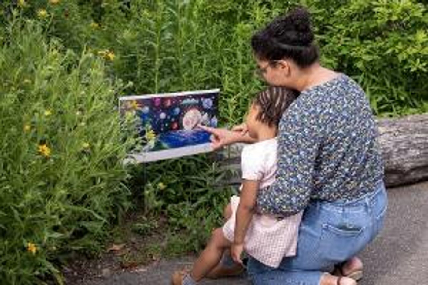 Family-Friendly Installations On View At Brooklyn Botanic Garden For POWER OF TREES  Image