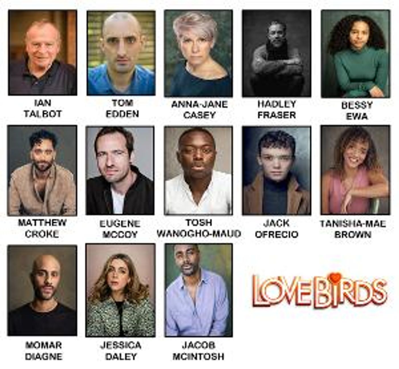 New Musical LOVE BIRDS Gets Workshop and Industry Showcase  Image