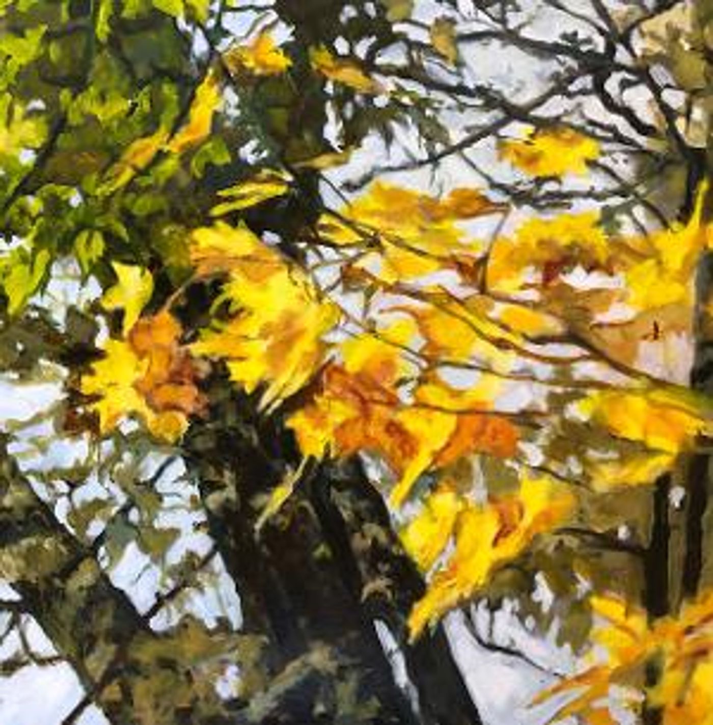 EXTRAORDINARY ORDINARY Landscapes and Portraits by Molly Hawley In the Jackson Gallery at Town Hall Theater   Image