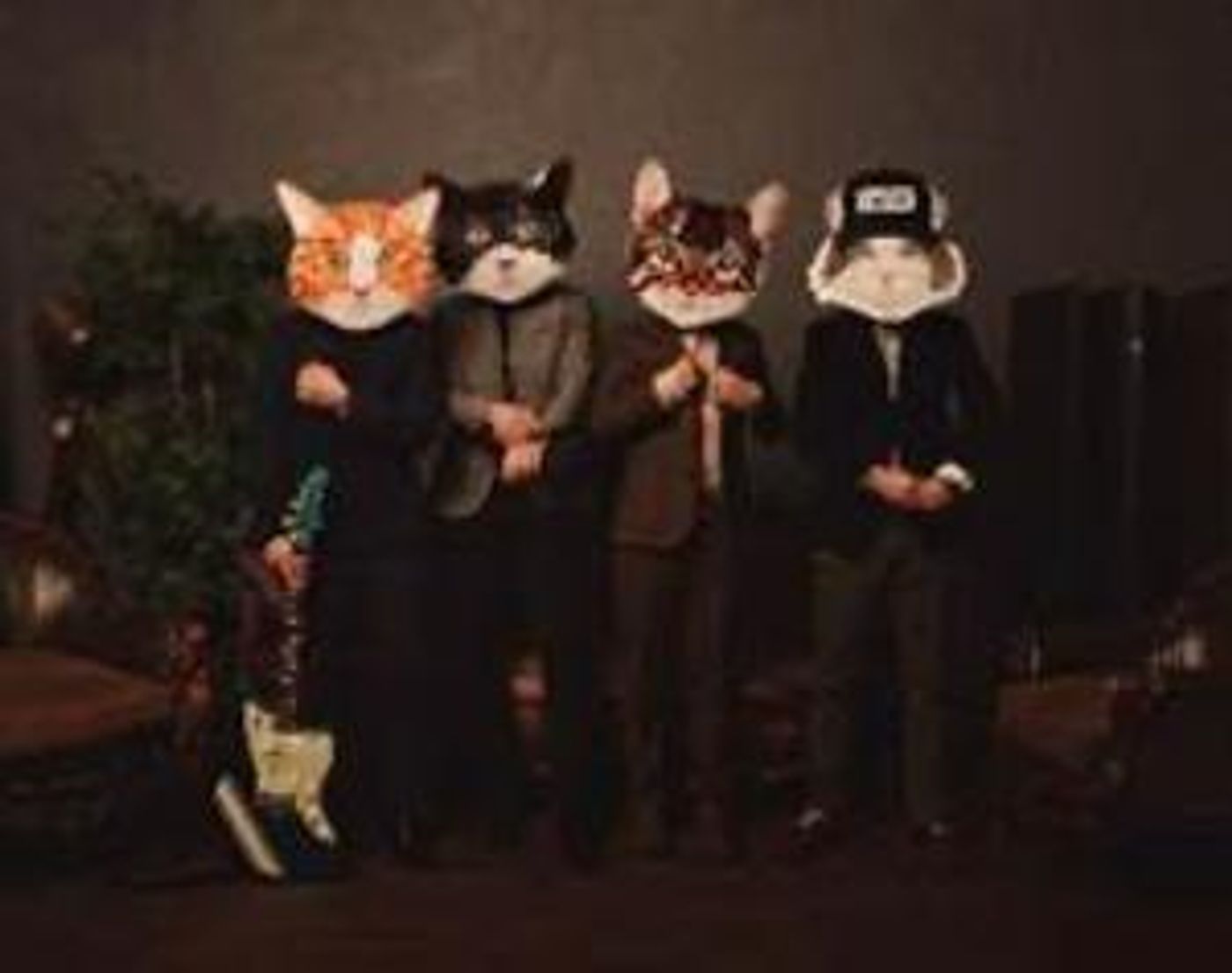 Fantastic Cat Comes To City Winery Boston Next Month  Image