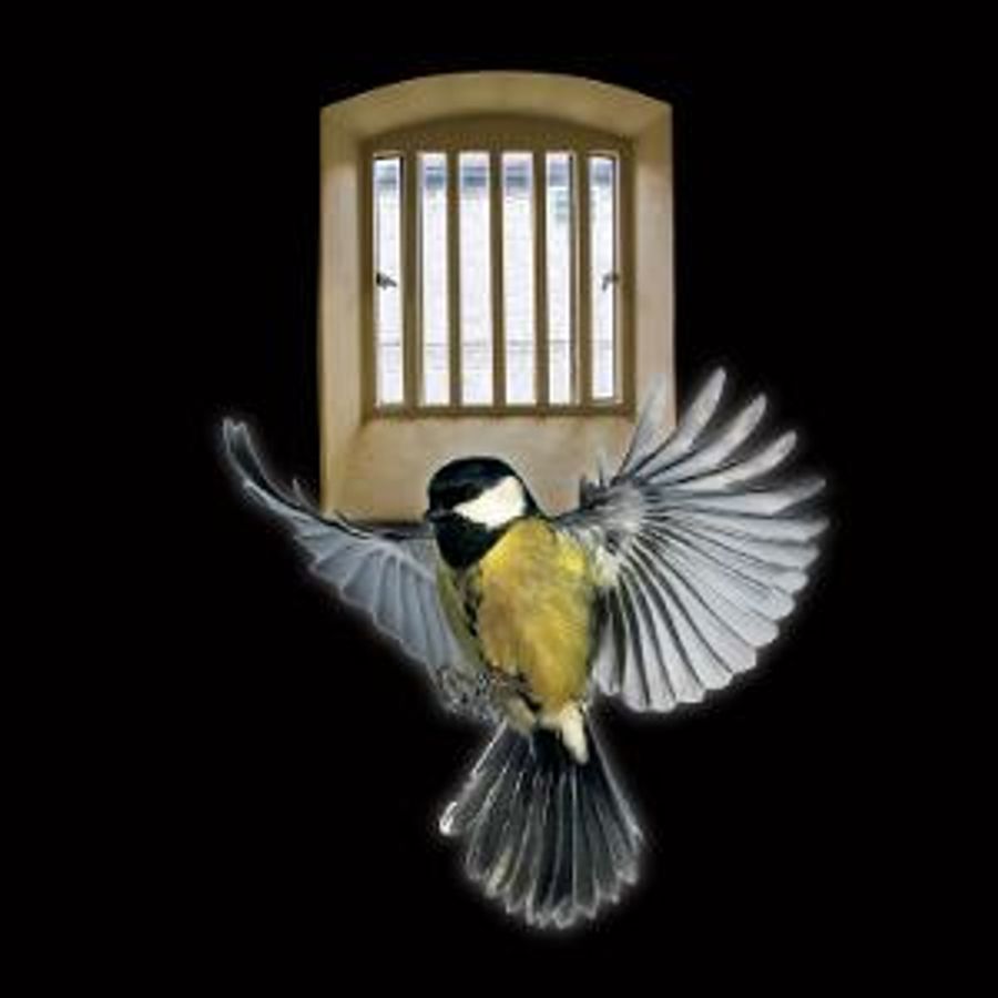 La MaMa Presents PRISONER AT THE WORLD'S END by R.Johns  Image