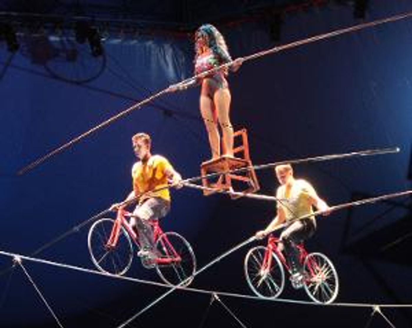Nik Wallenda & Circus Arts Conservatory Present A BRAVE NEW WONDERLAND, November 18- December 31  Image