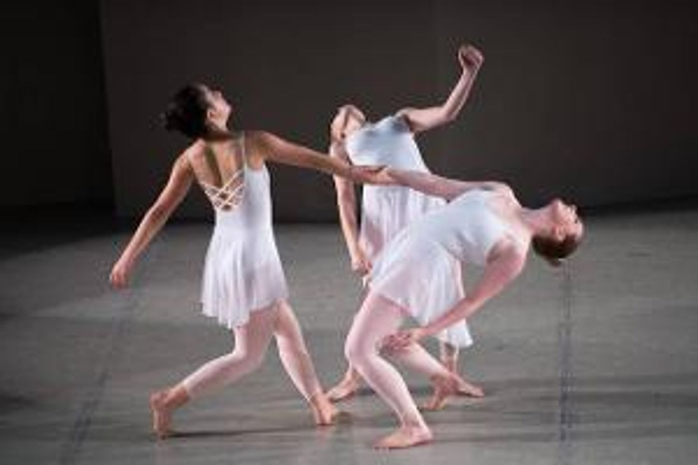 North Shore Civic Ballet Opens Annual Holiday Auction To Train A New Generation Of Dancers  Image