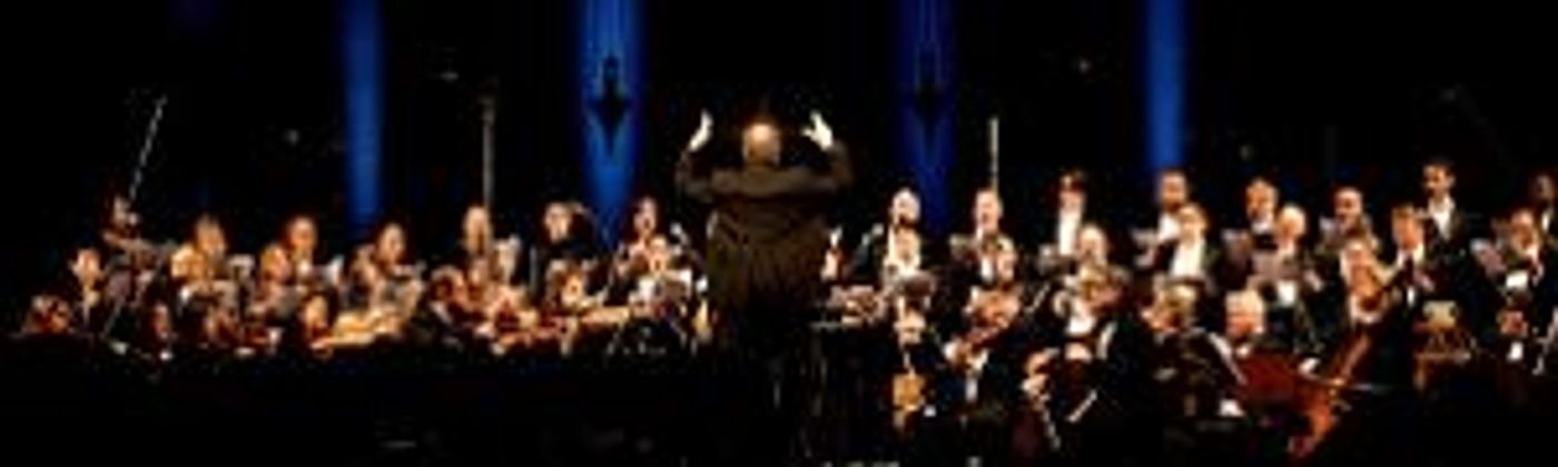 The Cathedral Of St. John The Divine Celebrates The Season With JOY OF CHRISTMAS: PEACE ON EARTH  Image