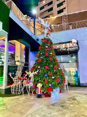 Shop From 20+ Small Businesses, Enjoy Live Music, Kids Crafts And More At STC GardenWalk's Christmas Market  Image