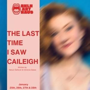 HIGH SCHOOL MUSICAL Series Star Frankie Rodriguez Joins New Play THE LAST TIME I SAW CAILEIGH at Brooklyn Art Haus  Image