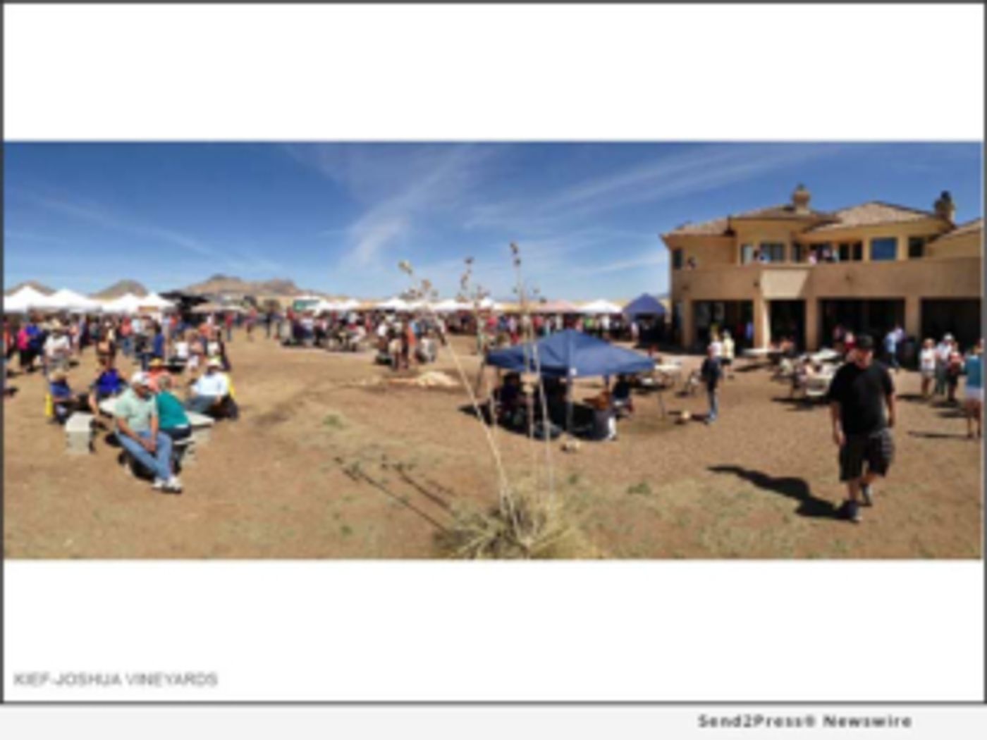 Details Announced for First-Ever Southeast Arizona New Vintners Harvest Festival  Image