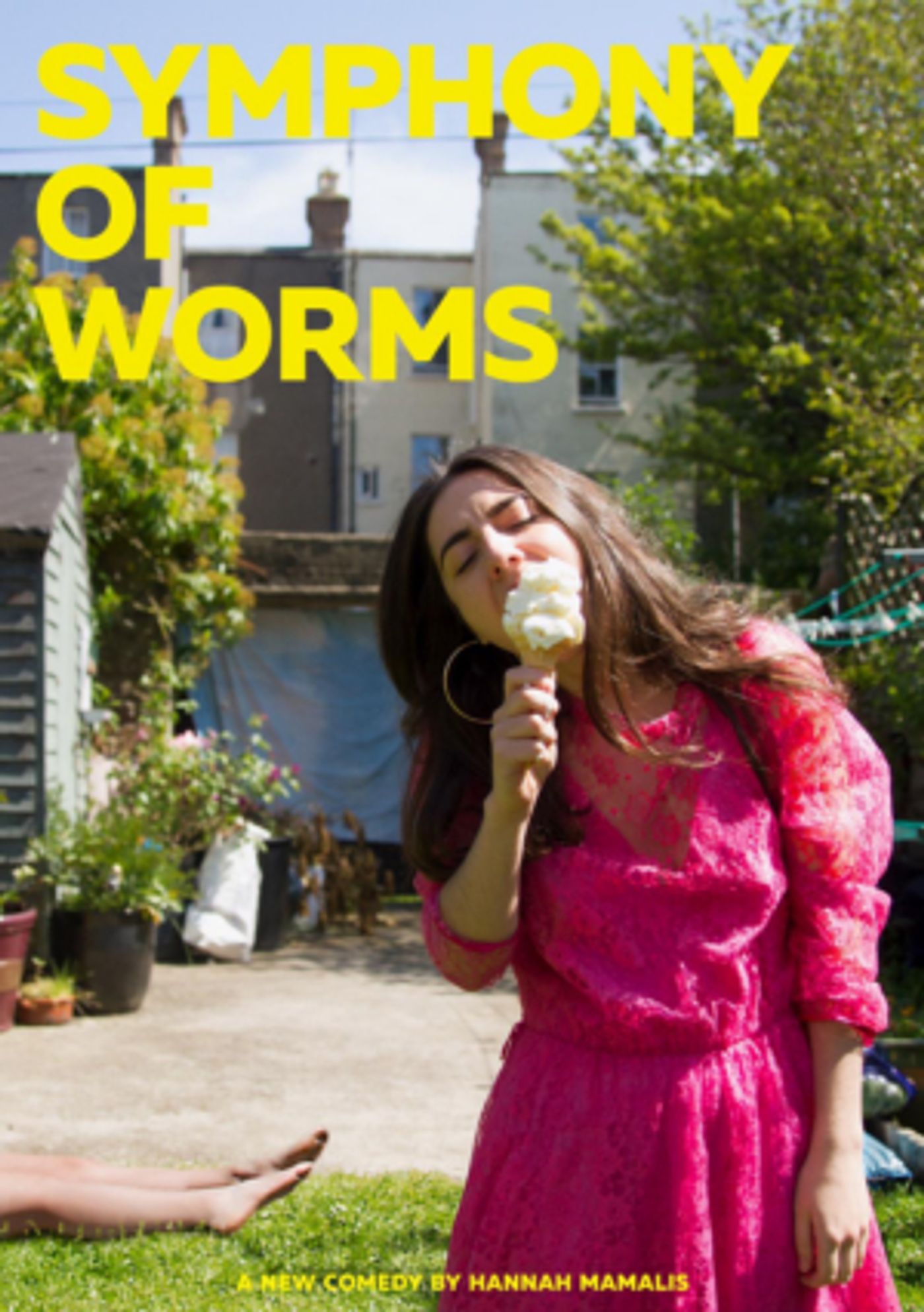 SYMPHONY OF WORMS Comes to Smock Alley Boys School  Image