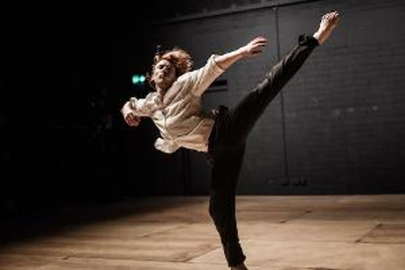 Irish Modern Dance Theatre Takes Darwin For Inspiration in Brand New Production EVOLUTIONS  Image