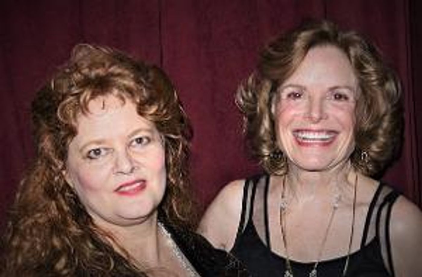 LIVE FROM THE SKYLIGHT RUN Presents Third Live Event With Carole Demas and Sarah Rice  Image