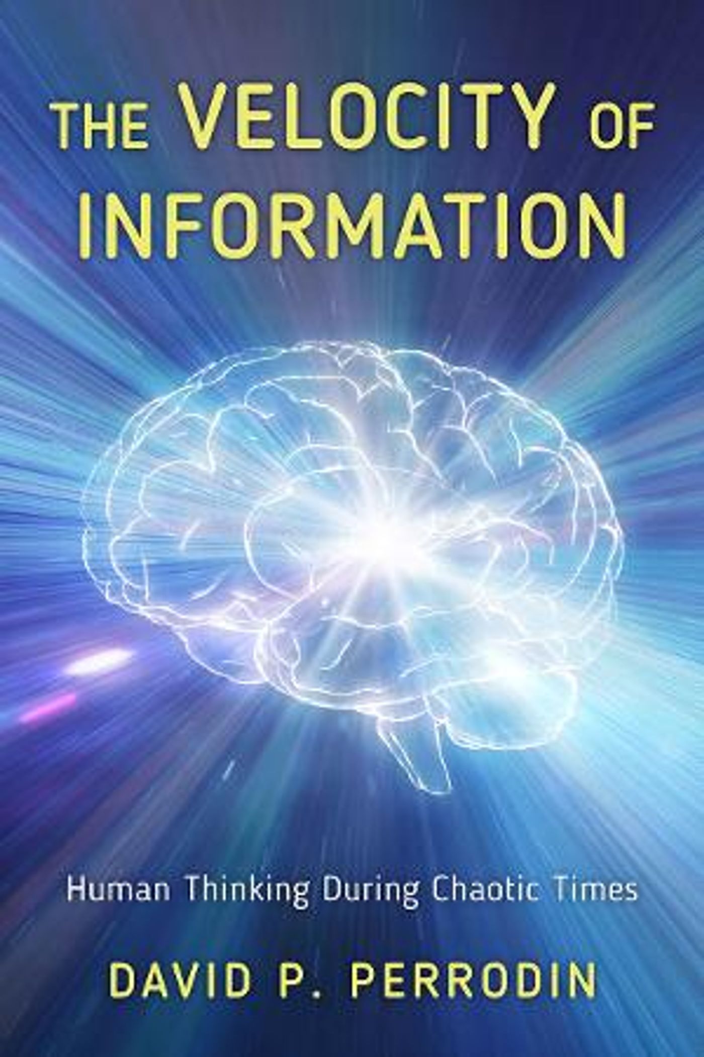 David P. Perrodin, Ph.D Releases New Book THE VELOCITY OF INFORMATION  Image