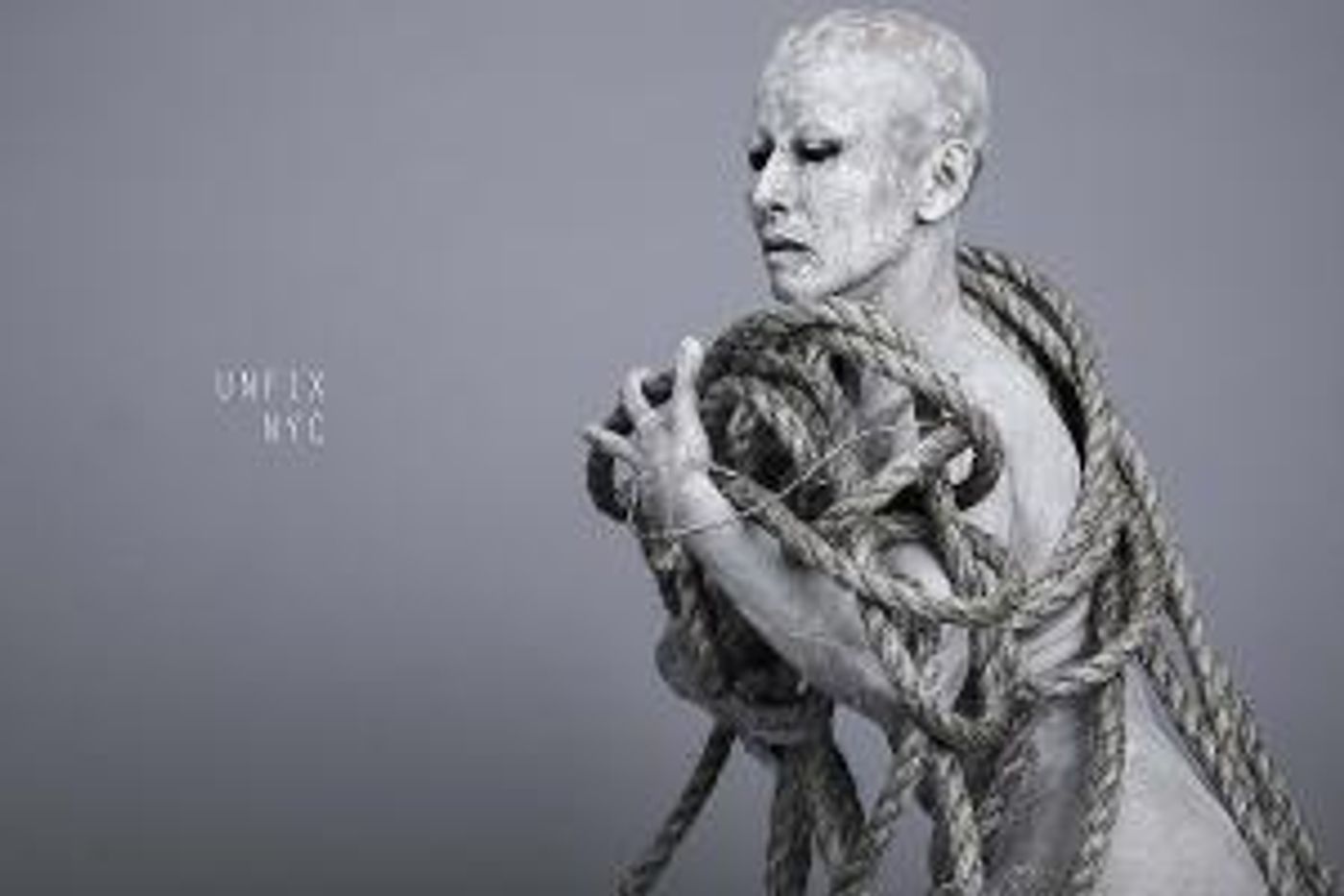 International Art And Ecology Festival: UNFIX NYC 2021 Runs June 11th-27th  Image