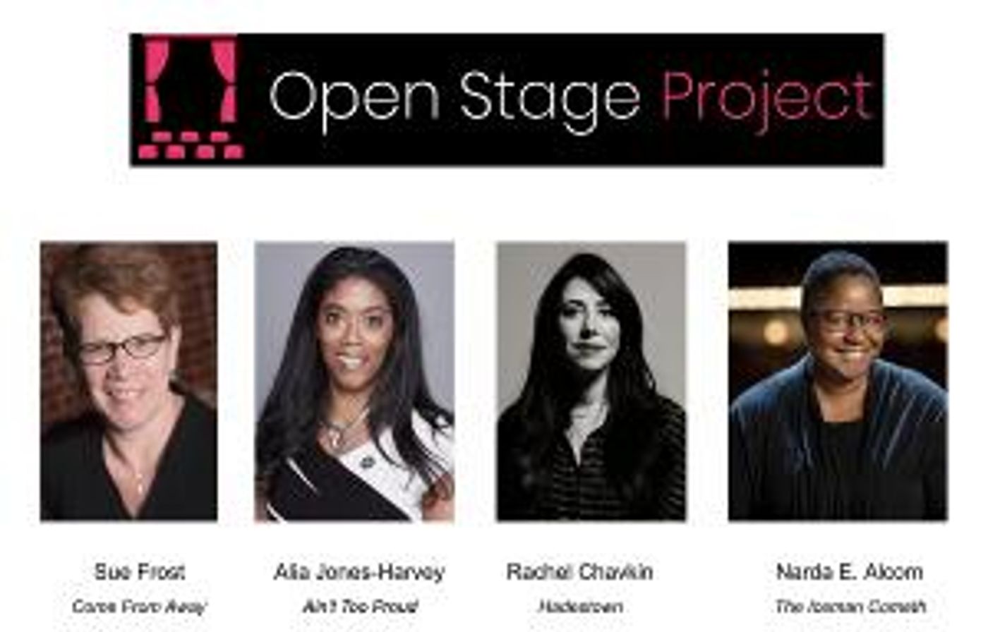 Open Stage Project Hosts Business Of Broadway Panel  Image